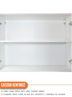 Meuble haut de cuisine Eco Blanc 2 portes L 60 cm